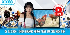 Đá Gà XX88 - Chiêm Ngưỡng Những Trận Đấu Siêu Kịch Tính